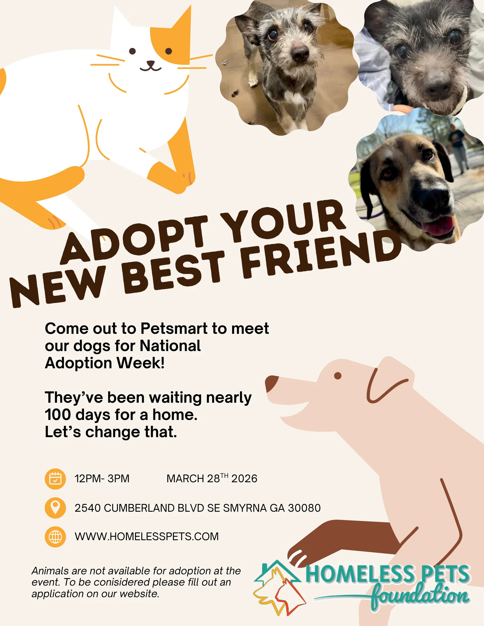 🐾 National Adoption Week Meet & Greet 🐾 Homeless Pets Foundation ...